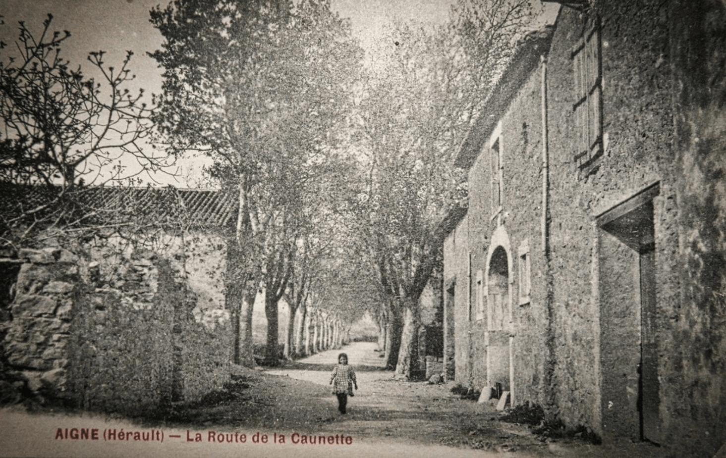 Route de la Caunette à Aigne